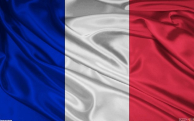 В президентских выборах во Франции будут участвовать 11 кандидатов - ảnh 1